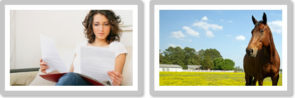 Choosing the right livery yard for you and your horse Choosing the right livery yard for you and your horse