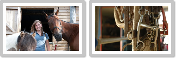 What to do when you’ve found a great livery yard What to do when you’ve found a great livery yard